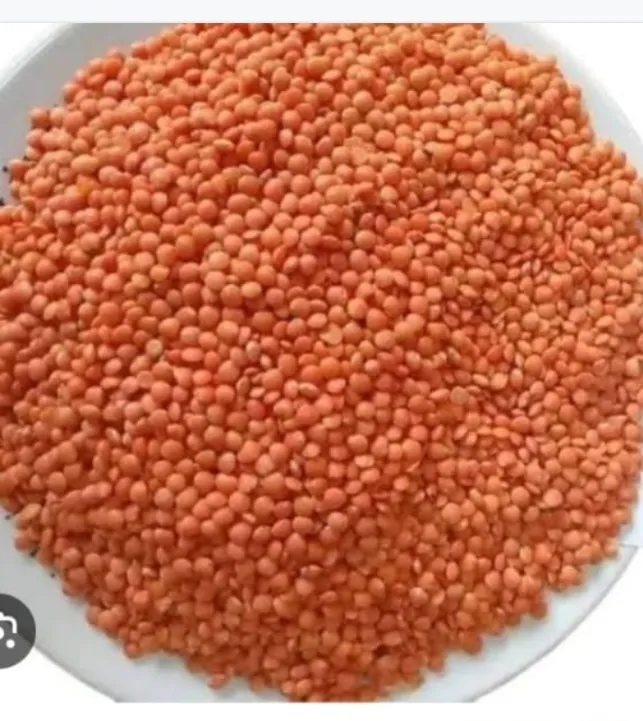 dal